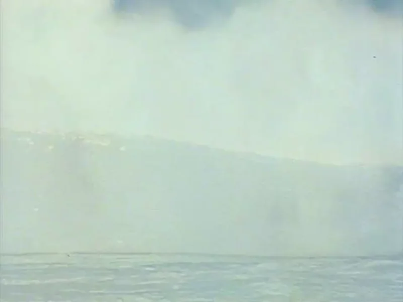 A wave crashing in the ocean